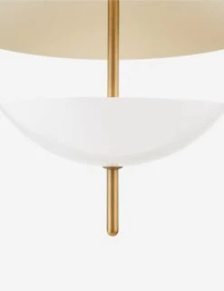 Dion Pendant Light By Colin King X Troy Lighting -MIUBOW Furniture Shop Dion F6624 PBR SSD 001