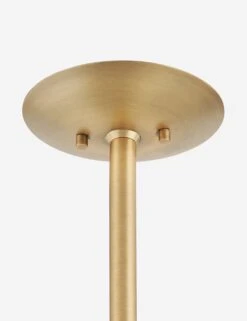 Dion Pendant Light By Colin King X Troy Lighting -MIUBOW Furniture Shop Dion F6624 PBR SSD 002