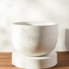 Dreama Indoor / Outdoor Planter