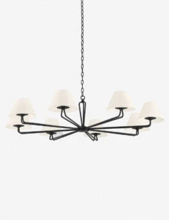 Hayden Chandelier -MIUBOW Furniture Shop F2550 BI