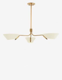 Riaz Chandelier -MIUBOW Furniture Shop F8143 PBR SSD