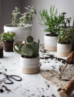 Trunk Garden Pot By Farmhouse Pottery -MIUBOW Furniture Shop FHP Potting Herbs 8