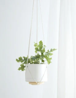 Nilou Hanging Planter + Pot -MIUBOW Furniture Shop HangingPlanterWithPot Ceiling Natural Cylinder 10334 1