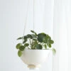 Nilou Hanging Planter + Pot