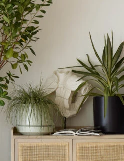 Ceramic Planter Pot By LBE Design -MIUBOW Furniture Shop IndoorPlanterVignette 04782 SITECROP 2 0bf2517c abc8 4dfa bafb e47992e2f748