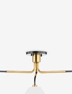 Tuen Chandelier -MIUBOW Furniture Shop KBS1751803 AOB 002 2