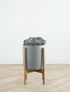 Ceramic Planter Pot + Teak Stand By LBE Design -MIUBOW Furniture Shop LBEDesignCeramicPlanterWTeakStand 10in Grey 10472