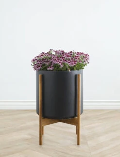 Ceramic Planter Pot + Teak Stand By LBE Design -MIUBOW Furniture Shop LBEDesignCeramicPlanterWTeakStand 12in Black 10437