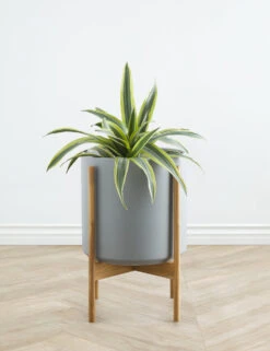 Ceramic Planter Pot + Teak Stand By LBE Design -MIUBOW Furniture Shop LBEDesignCeramicPlanterWTeakStand 12in Grey 10448