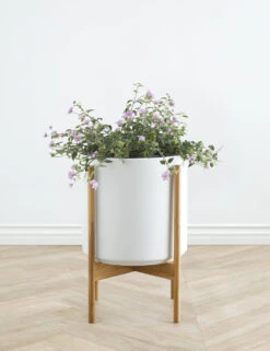 Ceramic Planter Pot + Teak Stand By LBE Design -MIUBOW Furniture Shop LBEDesignCeramicPlanterWTeakStand 12in White 10433