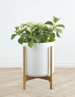 Ceramic Planter Pot + Teak Stand By LBE Design -MIUBOW Furniture Shop LBEDesignCeramicPlanterWTeakStand 14in White 10423