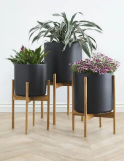 Ceramic Planter Pot + Teak Stand By LBE Design -MIUBOW Furniture Shop LBEDesignCeramicPlanterWTeakStand BlackGroup 10503