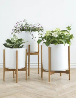 Ceramic Planter Pot + Teak Stand By LBE Design -MIUBOW Furniture Shop LBEDesignCeramicPlanterWTeakStand WhiteGroup 10514