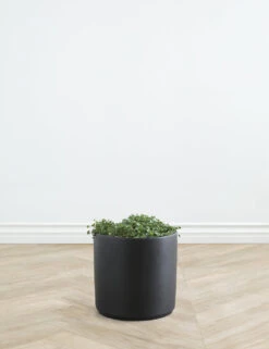 Ceramic Planter Pot By LBE Design -MIUBOW Furniture Shop LBEDesignCeramicPlanter 10in Black 10629