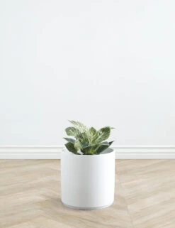 Ceramic Planter Pot By LBE Design -MIUBOW Furniture Shop LBEDesignCeramicPlanter 10in White 10622