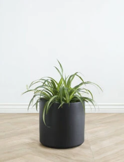 Ceramic Planter Pot By LBE Design -MIUBOW Furniture Shop LBEDesignCeramicPlanter 12in Black 10617