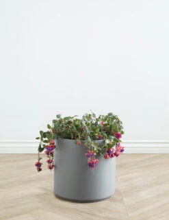 Ceramic Planter Pot By LBE Design -MIUBOW Furniture Shop LBEDesignCeramicPlanter 12in Grey 10613