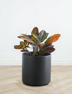Ceramic Planter Pot By LBE Design -MIUBOW Furniture Shop LBEDesignCeramicPlanter 14in Black 10599