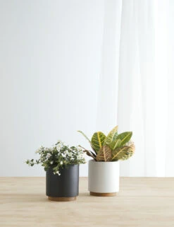 Ceramic Planter Pot + Plinth By LBE Design -MIUBOW Furniture Shop LBEDesignCeramicPlanter Plinth Group 10302