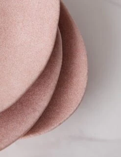 Livia Oval Plate (Set Of 6) By Costa Nova 15 Livia Oval Plate (Set Of 6) By Costa Nova -MIUBOW Furniture Shop LiviaOvalPlate Setof6 byCasafina Rose L0467313 2216