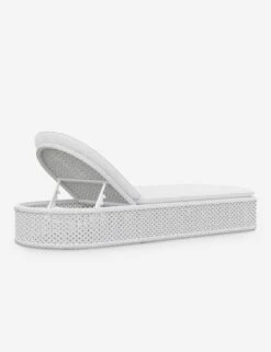 Havelock Indoor / Outdoor Chaise 7 Havelock Indoor / Outdoor Chaise -MIUBOW Furniture Shop MTK R01L1 CU MONTAUK LOUNGE CHAIR WB04