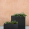 Metro Box Planters By Campania International