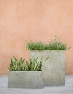 Metro Box Planters By Campania International -MIUBOW Furniture Shop Metro Box Planter Stone Tall by Campania International 00004 front shot with plant Group of 2 2