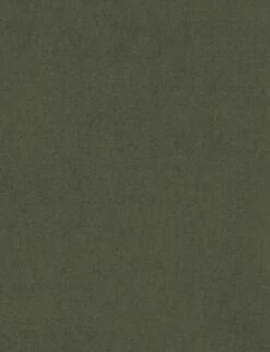 Lotte Sleeper Sofa 31 Lotte Sleeper Sofa -MIUBOW Furniture Shop MossVelvet RHEN 030 14861 43 BI Swatch SITECROP