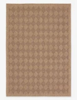 Adisa Indoor / Outdoor Rug