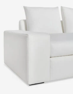 Nadine Sofa 32 Nadine Sofa -MIUBOW Furniture Shop NadineSofa96in WhitePerformance 12788