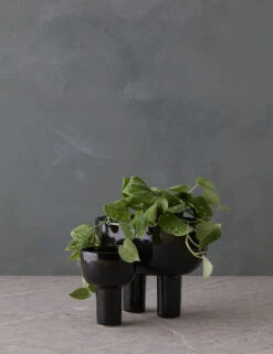 Nuria Planter Pot