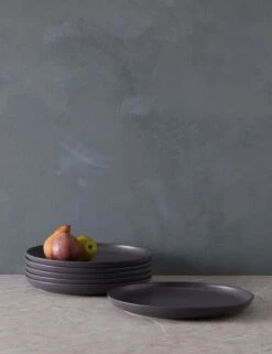 Pacifica Dinner Plates (Set Of 6) By Casafina -MIUBOW Furniture Shop PacificaDinnerPlates Setof6 byCasafina SeedGray A06558281584