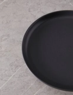 Pacifica Dinner Plates (Set Of 6) By Casafina -MIUBOW Furniture Shop PacificaDinnerPlates Setof6 byCasafina SeedGray A06558281585