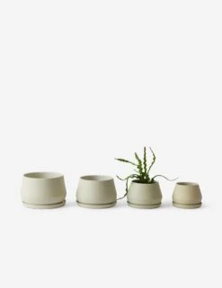 Rancho Ceramic Indoor / Outdoor Planter By LBE Design