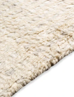 Amias Rug -MIUBOW Furniture Shop SAH 2306 sah2306 texture