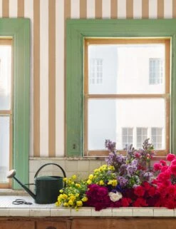 Grosgrain Stripe Peel + Stick Wallpaper By Sarah Jessica Parker 15 Grosgrain Stripe Peel + Stick Wallpaper By Sarah Jessica Parker -MIUBOW Furniture Shop SJP Grosgrain Stripe on White Pecan RS