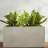 Sandal Planter By Campania International