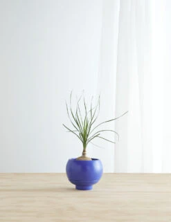 Sutton Self-Watering Planter By Greenery Unlimited -MIUBOW Furniture Shop SuttonSelf WateringPlanter Cobalt 10289