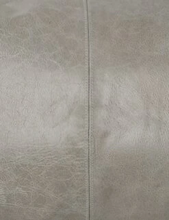 Sabrea Leather Lumbar Pillow -MIUBOW Furniture Shop V180025 swatch fe92d1bc 4b01 467c 9ee5 46a7f4a2742f