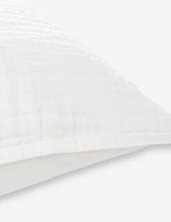 Darcy Sham -MIUBOW Furniture Shop V250174 3