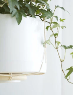 Elidi Wall Hanging Planter -MIUBOW Furniture Shop WallPlantHangerWithMatchingPlanter Natural Flora 10319 1