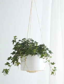 Elidi Wall Hanging Planter -MIUBOW Furniture Shop WallPlantHangerWithMatchingPlanter Natural Flora 10322 1