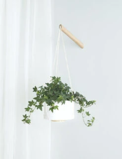 Elidi Wall Hanging Planter -MIUBOW Furniture Shop WallPlantHangerWithMatchingPlanter Natural Flora 10385 1