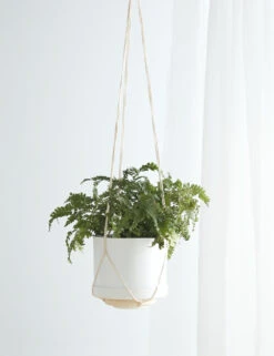 Elidi Wall Hanging Planter -MIUBOW Furniture Shop WallPlantHangerWithMatchingPlanter Natural Freya 10324 1