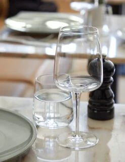 Vine Water Glasses (Set Of 6) By Costa Nova -MIUBOW Furniture Shop costa nova vine lifestyle image 4 Product