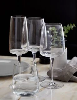 Vine Wine Glasses (Set Of 6) By Costa Nova -MIUBOW Furniture Shop costa nova vine lifestyle image 5 Product
