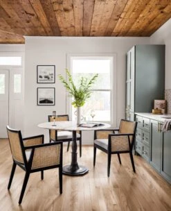 Jeni Dining Arm Chair 17 Jeni Dining Arm Chair -MIUBOW Furniture Shop cprl 0091219 084p rom 3 c5821686 cdf6 4d18 a073 9d63e0920a05