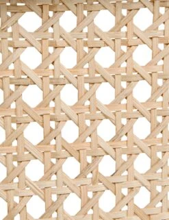 Loreana Accent Chair -MIUBOW Furniture Shop gcha258hb ln 6 1