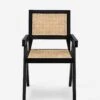 Alvi Dining Chair