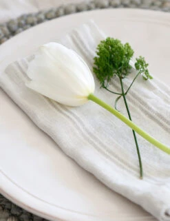 Mendocino Napkins (Set Of 4) By Pom Pom At Home -MIUBOW Furniture Shop mendocino lifestyle copy